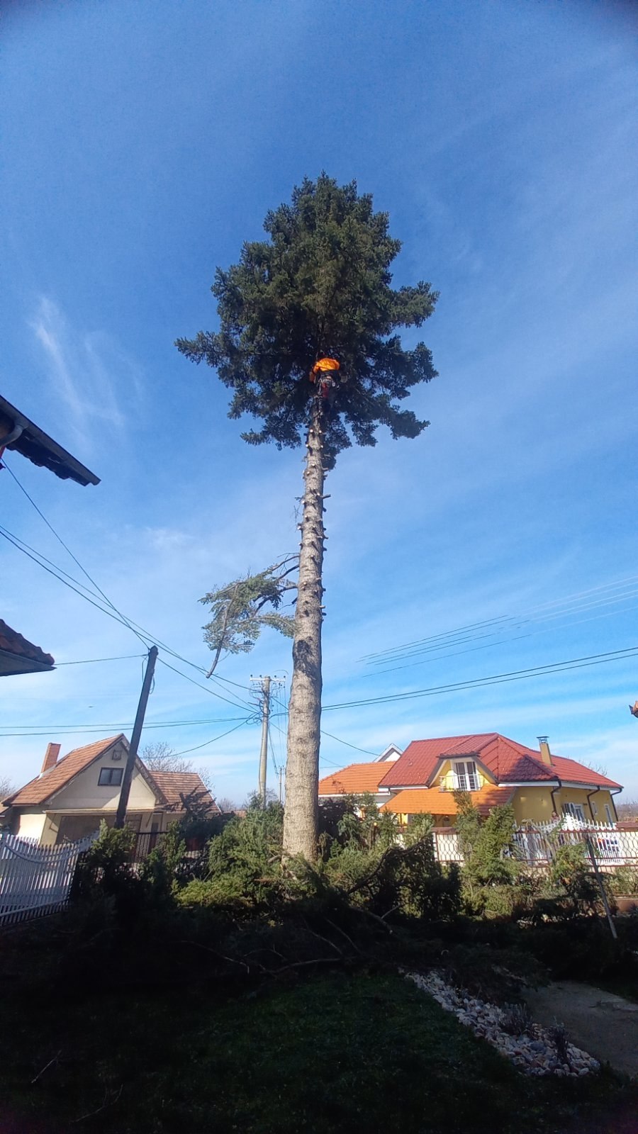 Orezivanje visokog drveta